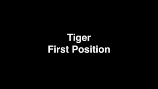 Tiger - First Position