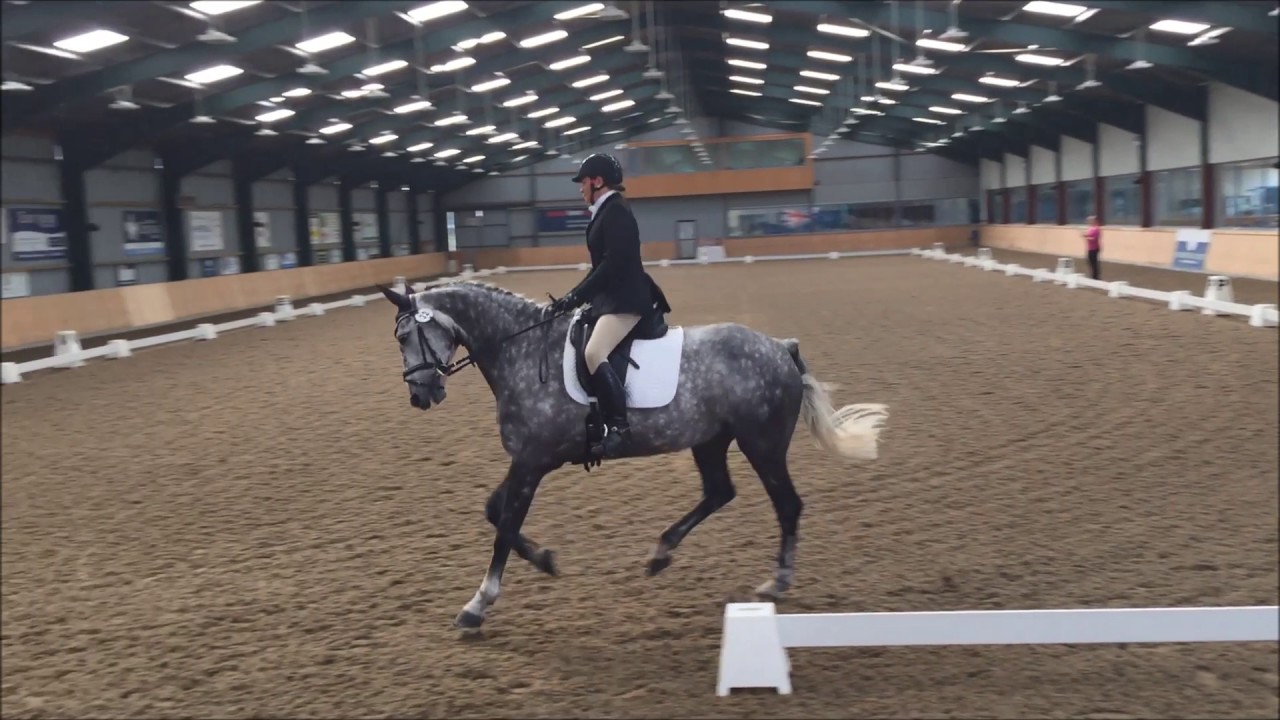 Houghton Hall Equestrian 9 July 2017, BD Test Preliminary 19 YouTube