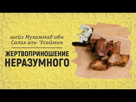 Жертвоприношение неразумного | Шейх Мухаммад ибн Салих аль-Усеймин