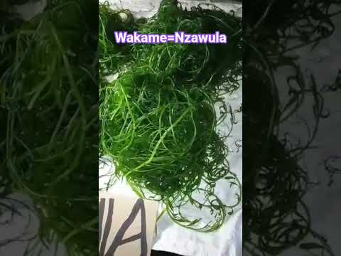 Wakame Nzawula Algues Sushis Makis Kinshasa Recettevegetale 