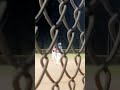 Mick Byrnes knocks in two runs with a clutch opposite way single -- 2 RBIs for his Kingston team