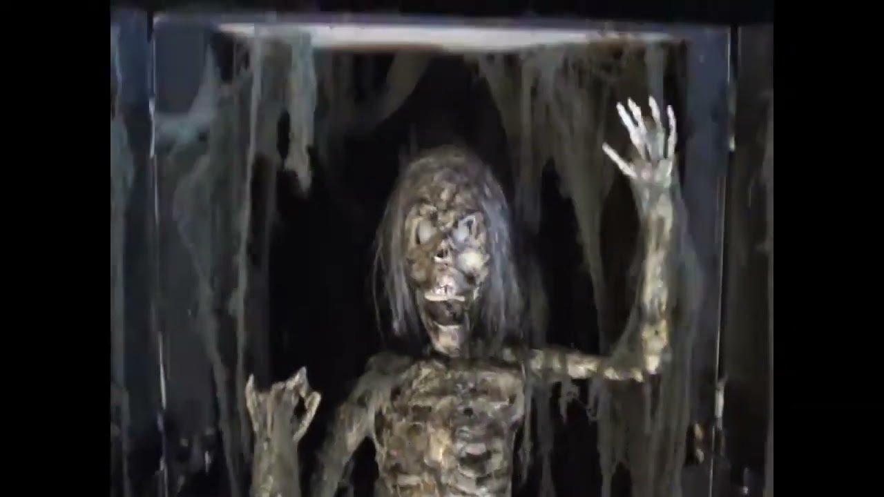 PoisonProps.com SC613 SKELLY CABINET Haunted House Prop