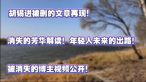墙内以删！消失的芳华解读，年轻人未来的出路。胡锡进被删文章再现！被消失的博主视频公开！就业困境|大学生就业难|应届生|往届生|芳华大解密|胡锡进|b站大封杀