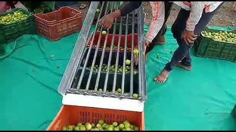 Lemon grader machine