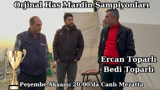 Mardin Şampiyonu Ve Ercan Toparlı Abinin Soyları Türemesi Efsane Öz Mardin Kuşları Takipte Kalalım