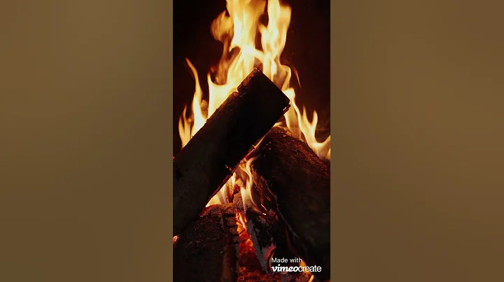 Relaxing Sound of Logs Burning