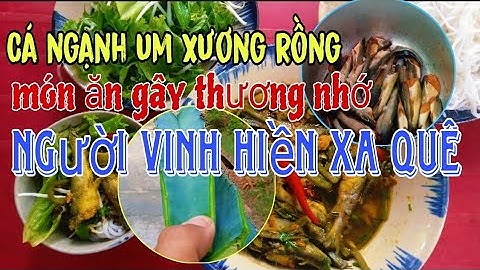 NVR Vlogs|| Cá ngạnh um xương rồng, món ăn gây thương nhớ người Vinh Hiền xa quê || Món ngon độc lạ