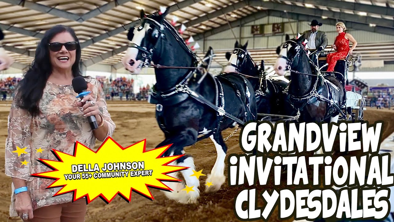 55 plus expert, check out Della's Corner at The Grandview Clydesdale Invitational.