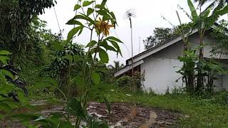 Download Lagu NOSTALGIA LAGU BONDAN AND F2 BLACK||COCOK BUAT SANTAI ATAU LAGI KERJA MP3