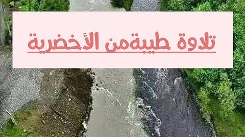تلاوة طيبة من الأخضرية |2021 |مسجد مالك بن نبي