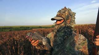 видео: ЗА ГУРГУЛИЦИ КРАЙ СТАРА ЗАГОРА картинка: ЗА ГУРГУЛИЦИ КРАЙ СТАРА ЗАГОРА