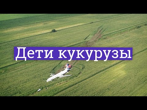 Посадка А321 в кукурузе. Что могут скрывать пилоты-герои? (English subs)