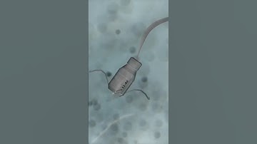 Transistors The Crazy Tiny Giants of Technology #electronics #TechExplained #ScienceFun #TechHistory