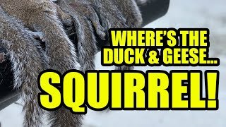 Where&#39;s the duck &amp; geese...SQUIRREL!