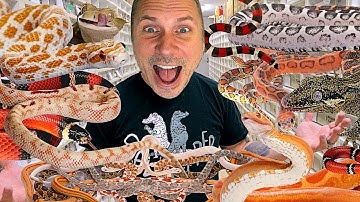 BHB REPTILE ROOM FULL TOUR!! UNCUT!! | BRIAN BARCZYK