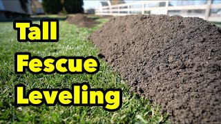 Tall Fescue Lawn Sand Compost Leveling Can It Be Done?