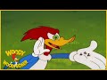 Woody Woodpecker | Party Animal | Full Episodes