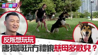 屈臣氏 Wats Petmacy 寵物藥妝呈獻煉狗術師III反叛想玩玩 唐狗貪玩冇禮貌 慈母多敗兒 Eric Ko鄺芷凡唐狗第6集HOYHOYTV