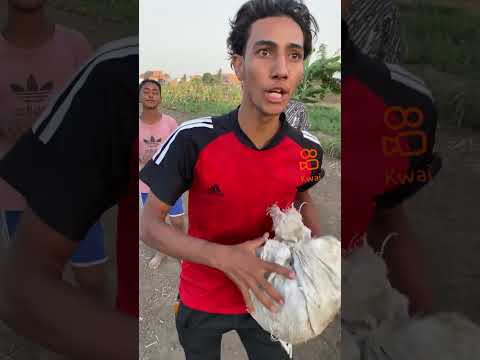 هيه جايه عليكي تتشاطر الحاج تايسون كوي الصور تحميل موسيقى