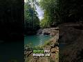 SIMPLE Mind Declutter Steps To Improve Your Life! Self Improvement, Stress Relief, Mental Health,