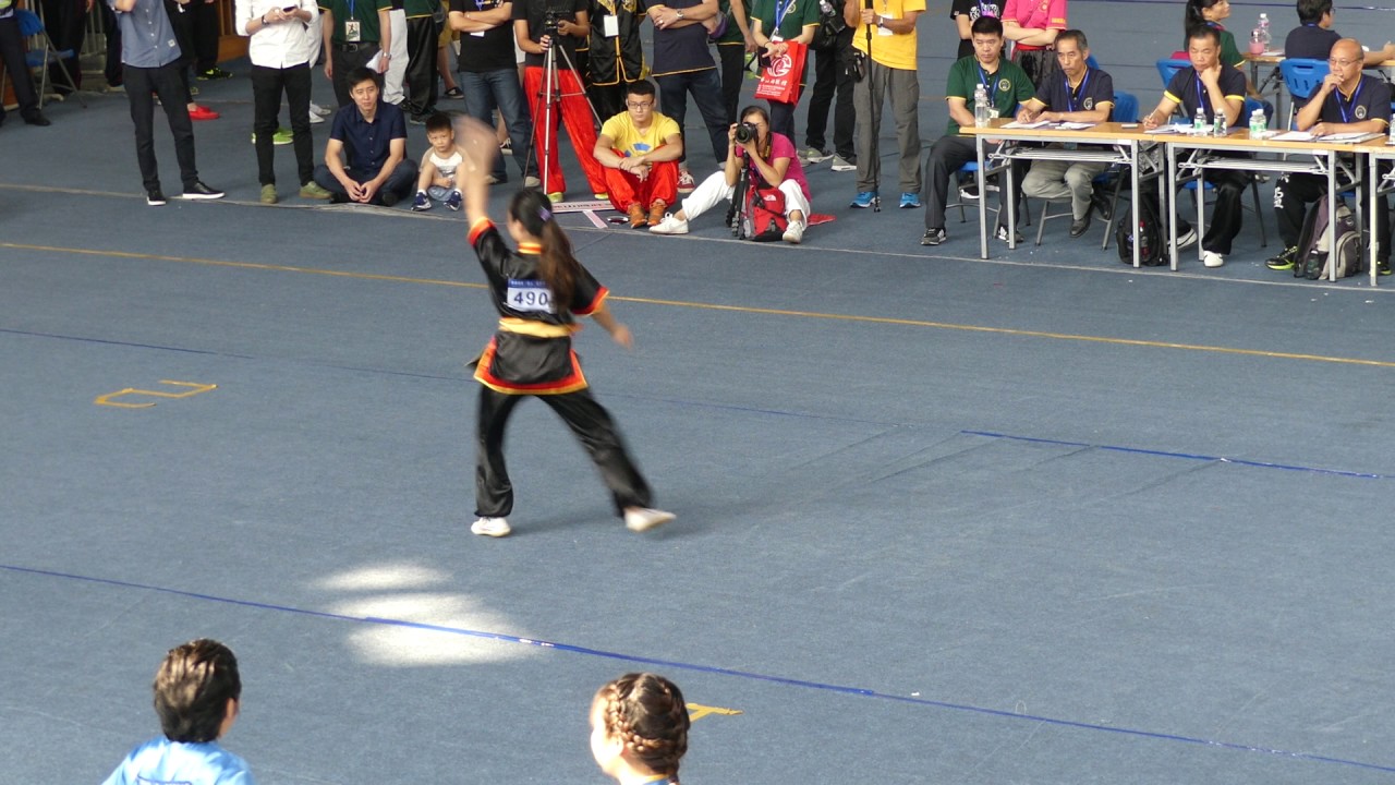 2016年首界國際佛山蔡李佛功夫賽