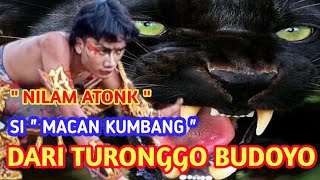 JANTURAN INDANG MACAN KUMBANG EBEG BANYUMASAN BY EBEG TURONGGO BUDOYO  PURWANEGARA BANJARNEGARA