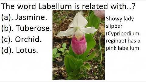 #Mcq44#floriculture#complete#syllabus#AGRI#SILVI#GURUSTEP#by#step#guide #DDASO#click#exam