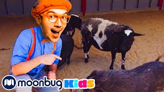 Blippi Visits Animals at Danny's Farm | @Blippi - Educational Videos for Kids | 🔤 Moonbug Literacy 🔤