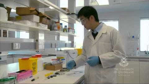 Dr Da-Wei Wang: UQ Foundation Research Excellence Award winner