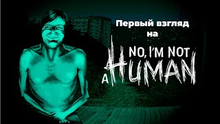 картинка: Первый взгляд на 