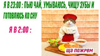 Мемы и Приколы с Котами 2021 года  Порция смешные мемчики про котов за 27 Октября #shorts