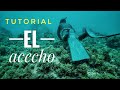 ¿CÓMO HACER UN ACECHO? - TUTORIAL TÉCNICA PESCA SUBMARINA #2