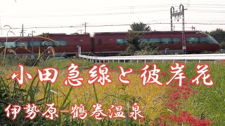 小田急線と彼岸花　通常9月中旬～　小田急小田原線＜伊勢原～鶴巻温泉間＞伊勢原市笠窪