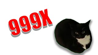 Maxwell Cat But Its 999X Speed
