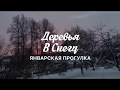 Январская прогулка