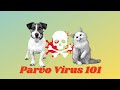 Pet Education- Parvo 101
