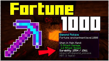 How To Get A Fortune 1,000 Pickaxe In Minecraft 1.17.1 (2024)