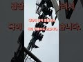 유니버셜스튜디오 다이노소어 인기 아트렉션소개 #유니버셜스튜디오 #다이노소어 #shorts