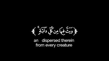 كروما شاشة سوداء قرآن كريم 🌿تلاوة من سورة لقمان 🌿القارئ رعد الكردي 🌿