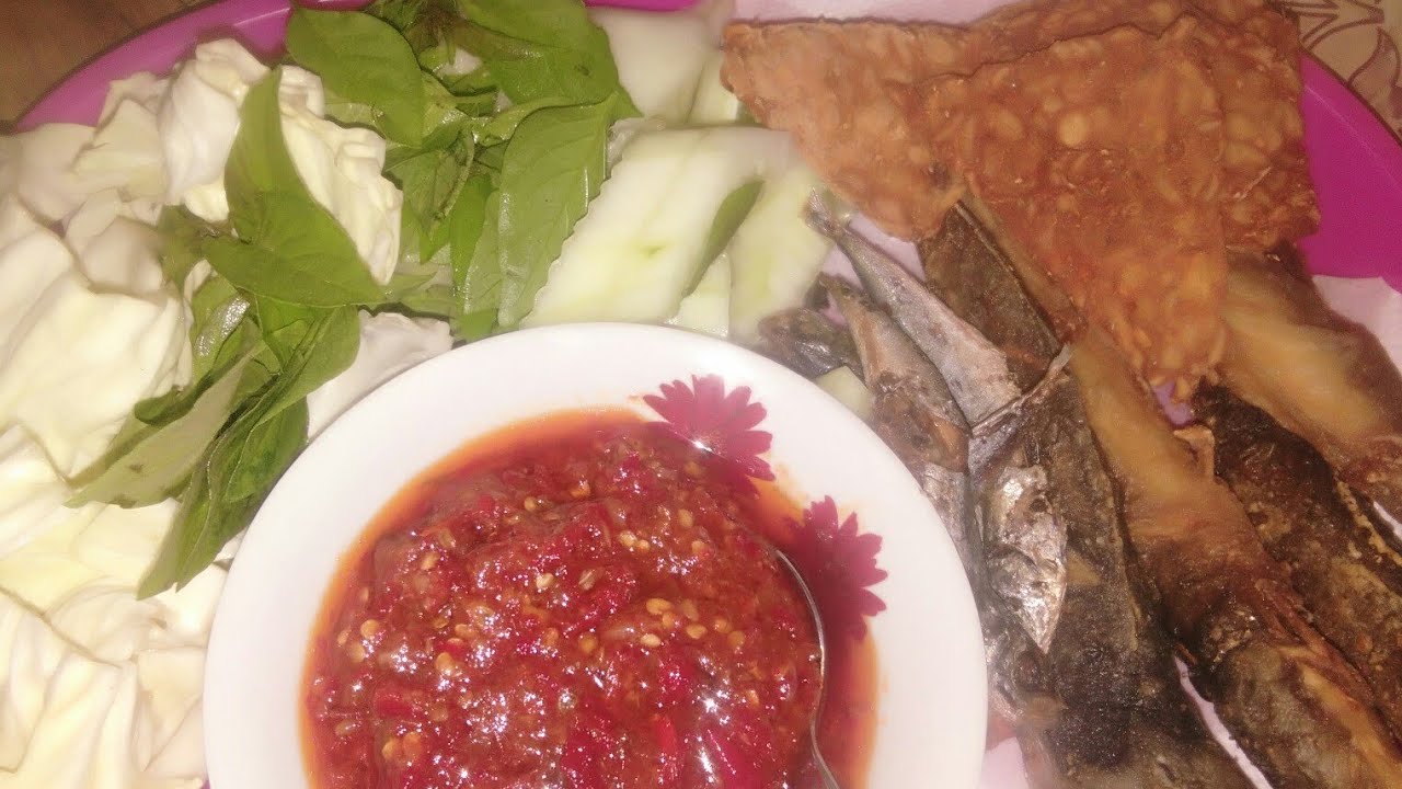RESEP DAN TIPS AGAR IKAN LELE GARING DAN TIDAK MELETUS 