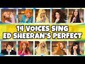 Perfect - Ed Sheeran & Beyoncé Cover (2018) in 14 Singers Voices. Totally TV