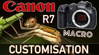 CANON R7 Custom Settings for MACRO Photography: HOW to SET it UP & Sample Shots