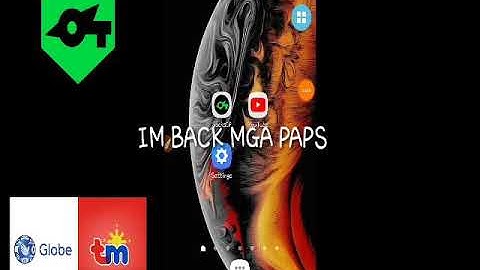 SOCKSIP NO LOAD NO PROMO GLOBE TM . SET UP APN