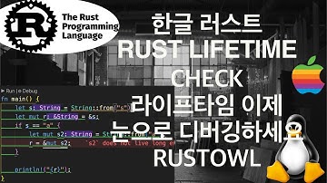 250215_짜증나는 (rust_lifetime)라이프타임 디버깅 툴RustOwl(VScode Extension)_러스트개발자_필수VScode_Extension #rustowl
