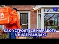 Как устроиться на работу в Нидерландах? Работа на доставке еды на велосипеде. Велокурьер в Голландии