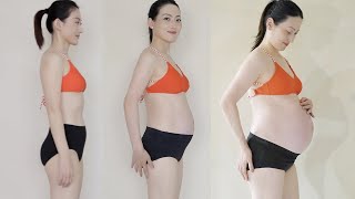 Pregnancy Transformation - Week by Week Progress | APRIL HAN