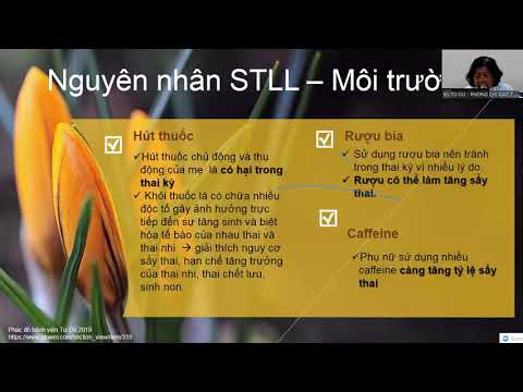 Sảy thai liên tiếp - Bs Nguyễn Bá Mỹ Nhi