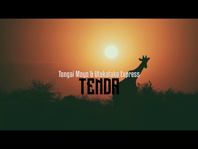 Tongai Moyo - Tenda class=