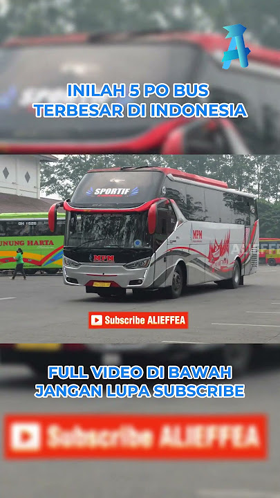 5 PO bus terbesar di Indonesia #akap #busmania #busbanyak