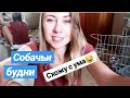 10 РАЗ ПОПИСАЛИ 8 РАЗ ПОКАКАЛИ / СОЖРАЛИ ГОВНЕЦО😁